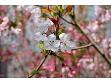 ����� 18.jpg