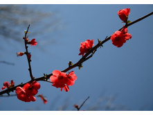 ����� 19.jpg