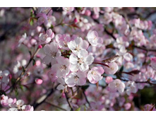 ����� 20.jpg