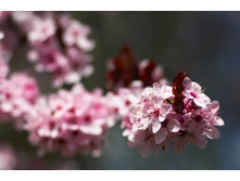 ����� 22.jpg