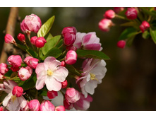 ����� 25.jpg