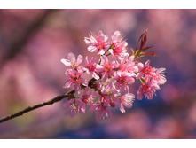 ����� 26.jpg