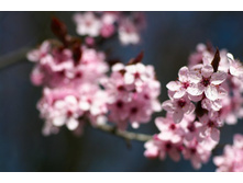 ����� 31.jpg