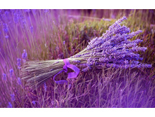 ����� 32.jpg