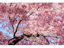 ����� 33.jpg