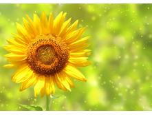 ����� 34.jpg