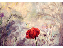 ����� 35.jpg