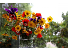 ����� 37.jpg