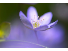 ����� 39.jpg