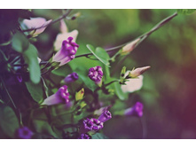 ����� 44.jpg