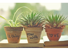 ����� 102.jpg