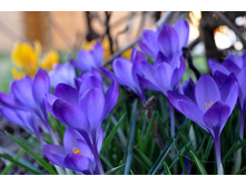 ����� 107.jpg