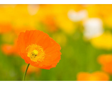 ����� 108.jpg