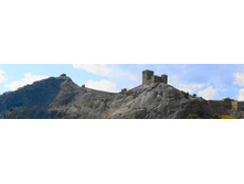 ������� ����� 175.jpg