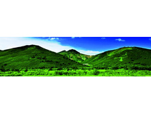 ������� ���� 10.jpg