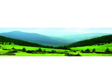 ������� ���� 13.jpg