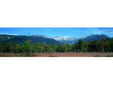 ������� ���� 20.JPG