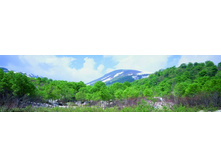 ������� ���� 21.JPG