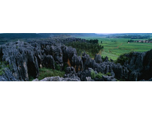 ������� ���� 25.JPG