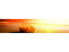 ������� ���� 15.jpg