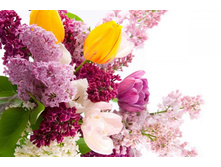 ����� 6.jpg