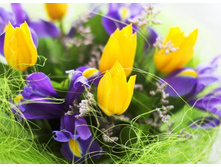 ����� 7.jpg