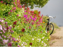 ����� 47.jpg