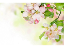 ����� 57.jpg