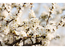 ����� 59.jpg