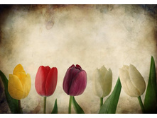 ����� 60.jpg