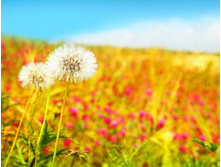 ����� 67.jpg