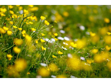 ����� 69.jpg