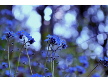 ����� 70.jpg