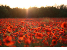 ����� 73.jpg