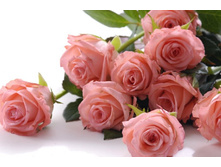 ����� 85.jpg