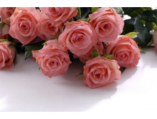 ����� 86.jpg