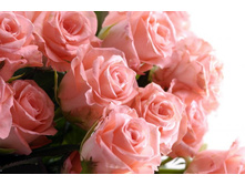 ����� 88.jpg