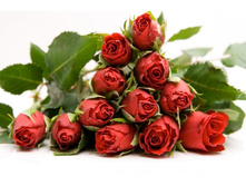 ����� 89.jpg