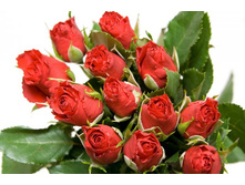 ����� 90.jpg