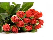 ����� 91.jpg