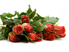 ����� 92.jpg