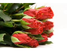 ����� 93.jpg