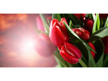 ����� 95.jpg