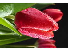 ����� 97.jpg