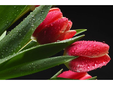 ����� 99.jpg