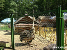 ������ (�� ���� ����)))