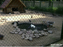 ������ ������ ������