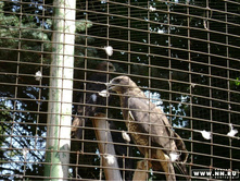 �ң� � ������)