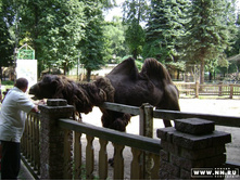 ������� (���) (�� ���� �����)