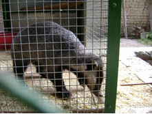 ������� ������